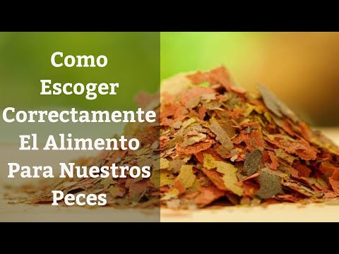 Video: Cómo Elegir Comida Para Peces