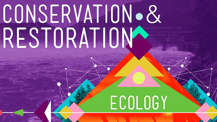 What is conservation and types? (2023)