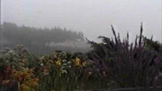Rutherford Island, Maine - Christmas Cove - Damariscotta