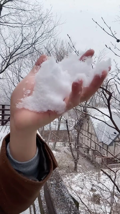 Winter in Mt. Zao, Japan | Vinson Caballero Listening to Miss Ripley OST
