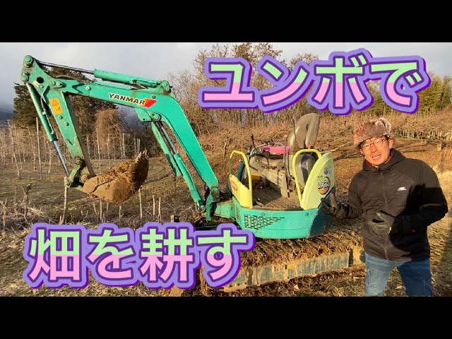 Working with an excavator] We tilled a new field! We used the 