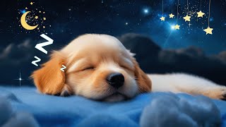 Fall asleep in 3 minutes, baby lullaby, rock and roll to sleep, cute pets sleep, baby sleep music_15