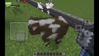 Zoo sin mods las vacas :D