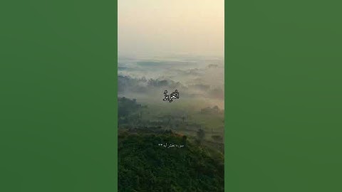 تلاوة خاشعة لآيات من سورة الحشر ||بصوت القارئ علي جابر رحمه الله