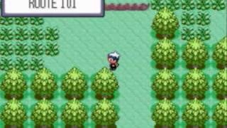 lets play : pokemon ruby ep 2
