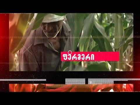 \"ფერმერი\" - აგროTV