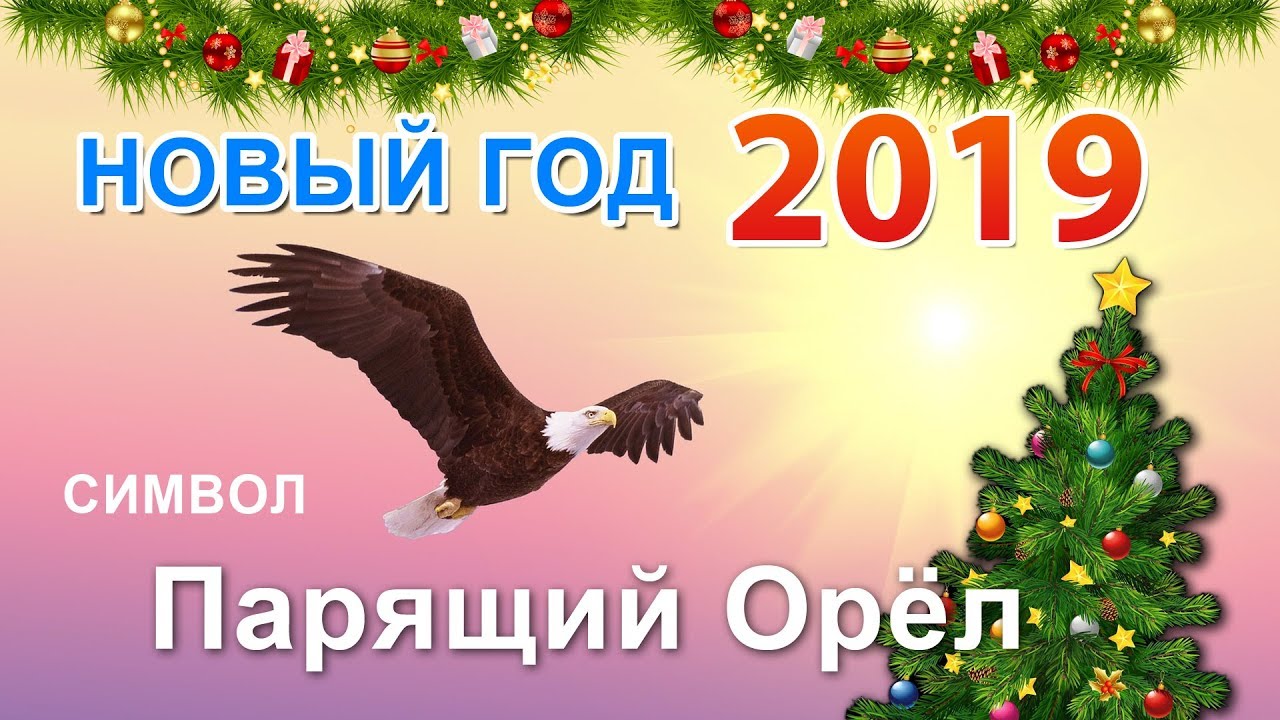 Открытки символ года 2019 парящий орел