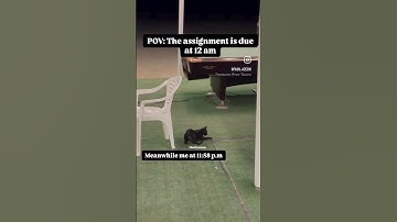 POV: The assignment is due at 12am #shorts