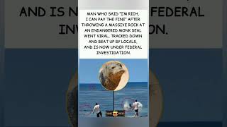 Mess with the seal. Meet the locals. 🦭👊#MonkSeal #KarmaIsReal #FederalInvestigation #ViralJustice