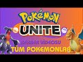 Pokemon unite rehber vdeosu oyundak tm pokemonlar