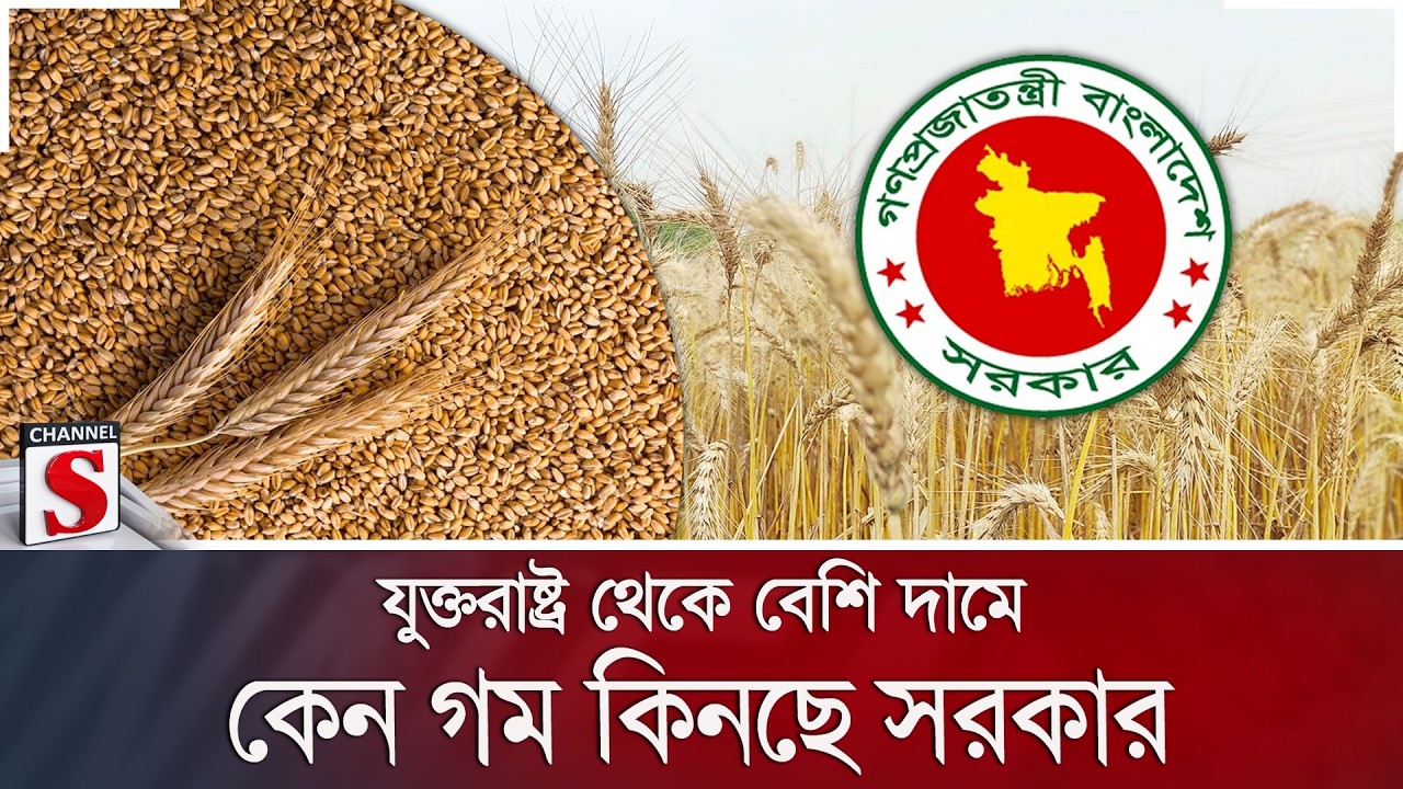 যুক্তরাষ্ট্র থেকে বেশি দামে কেন গম কিনছে সরকার ? | Wheat Import | Economy | Channel S News