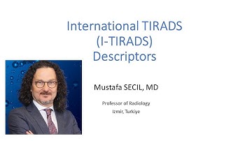 International TIRADS (I-TIRADS) Descriptors #ultrasound #thyroid #cancer