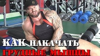 КАК НАКАЧАТЬ ГРУДНЫЕ МЫШЦЫ