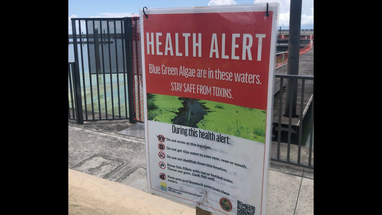 Algae and Aquatic Plant blooms in Florida Canals