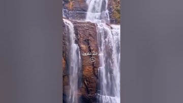 تلاوة مباركة من سورة بصوت فضيلة الشيخ: عبدالولي الاركاني