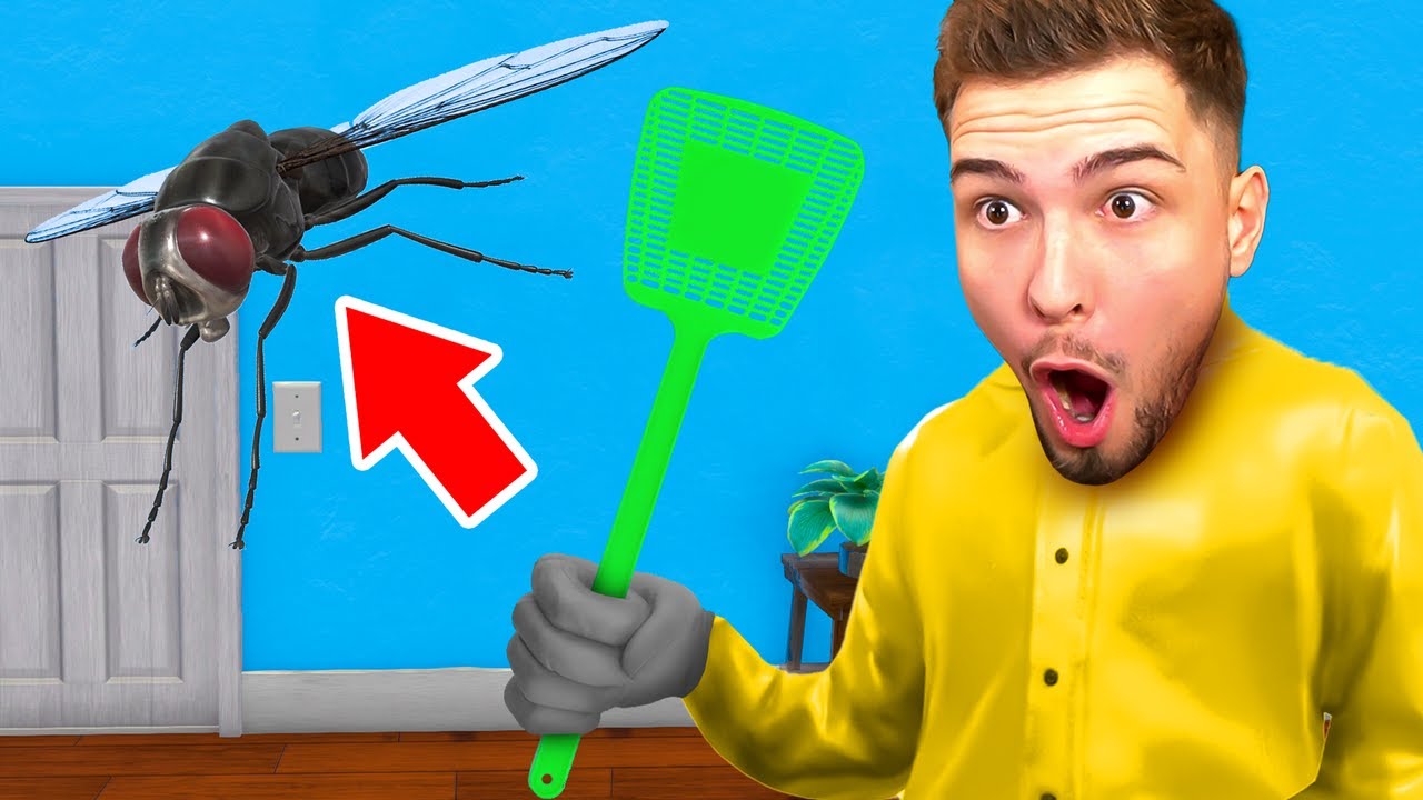 KLATSCH DIE FLIEGE WEG! (Fliegen Simulator)