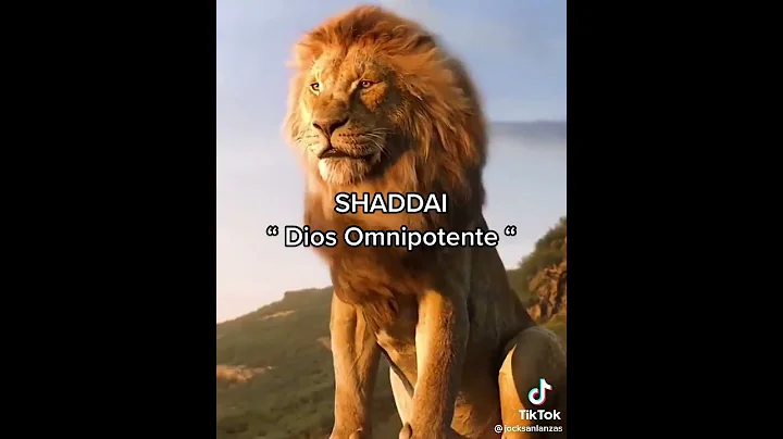 ELOHIM