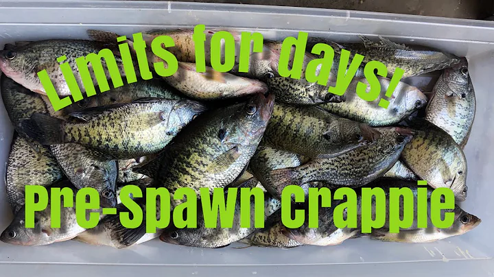 Crappie fishing pre-spawn