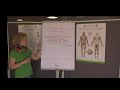 theralogy.it - sistema dei meridiani