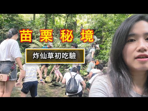 苗栗秘境？炸仙草初體驗『仙山半日遊』