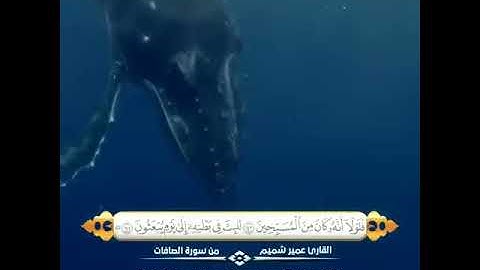 يقرأ ماتيسر من سورة الصافات (فضيلة الشيخ :عمير شميم)