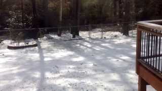 Snow melt time lapse