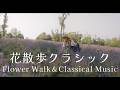 Flower walkclassical music