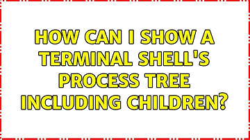 Unix & Linux: How can I show a terminal shell