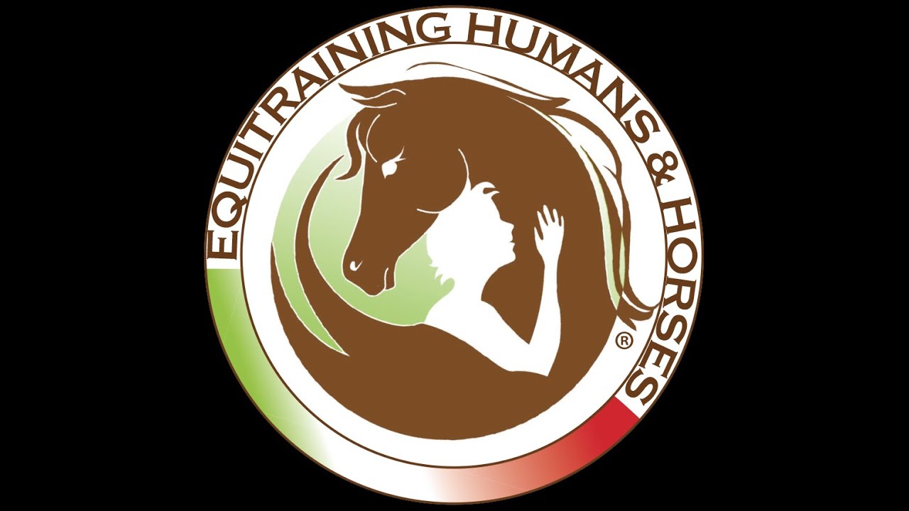 disagio del cavallo logo image