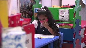 Effects of remote and blended learning on NYC students