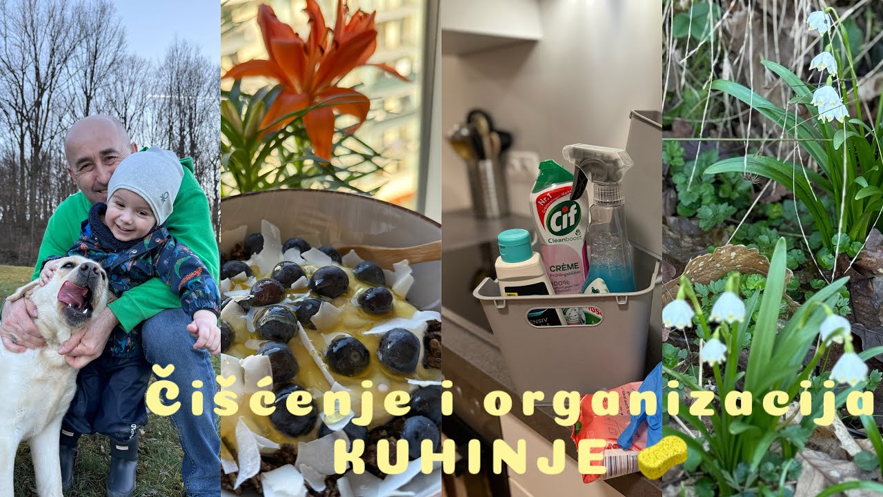 Čišćenje i organizacija kuhinje 🧽 | Luckasti pas 🐶 | Ideja za zdravi doručak 🫐 | Vjesnici proljeća 🌼