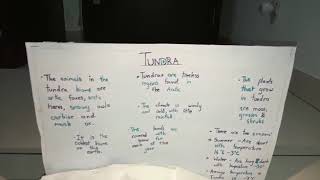 Very easy and simple tundra biome project