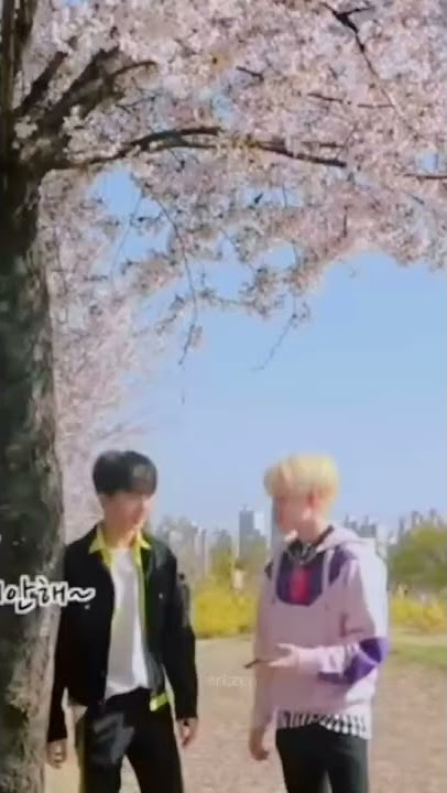 chenji gada lawan! #chenji #jichen #chenle #jisung