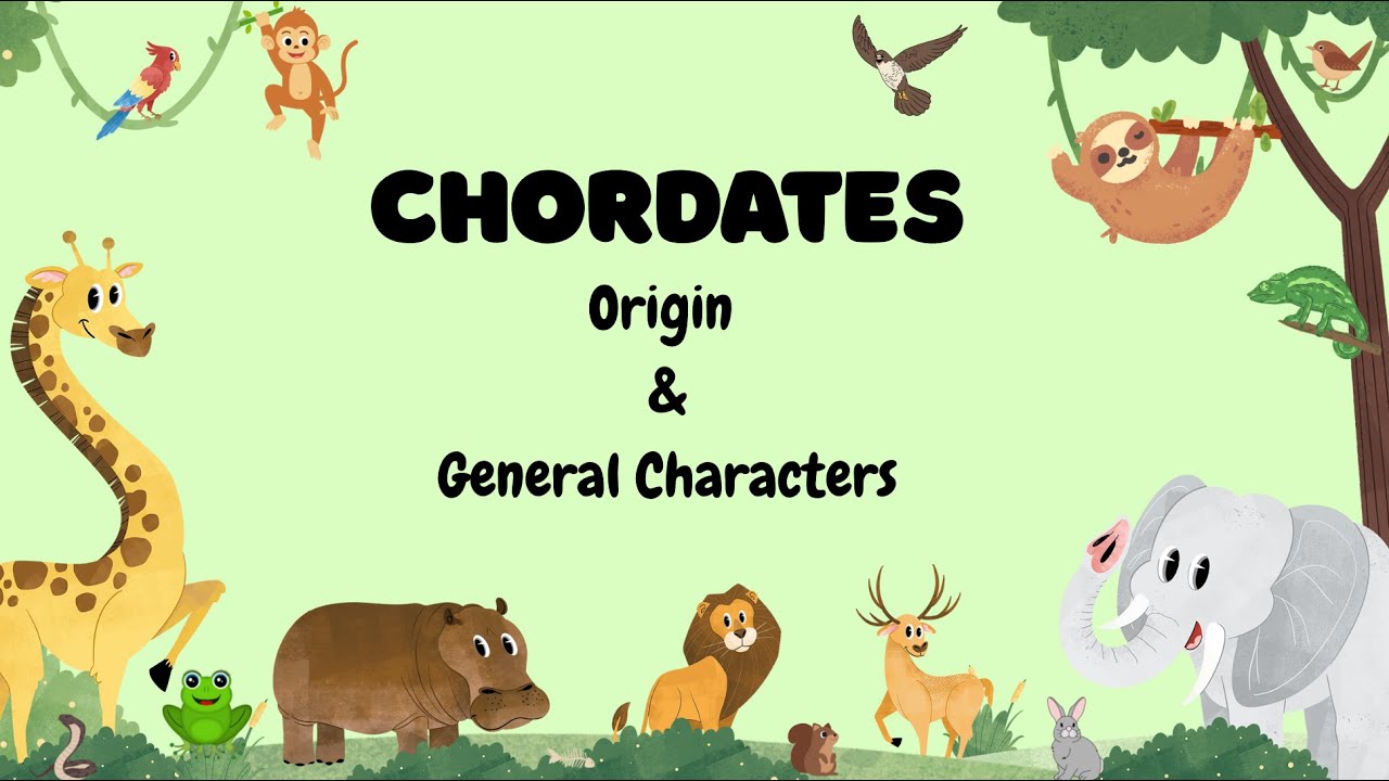 CHORDATES ORIGIN & CHARACTERS | ANIMAL DIVERSITY | JKPSC ZOOLOGY 2025