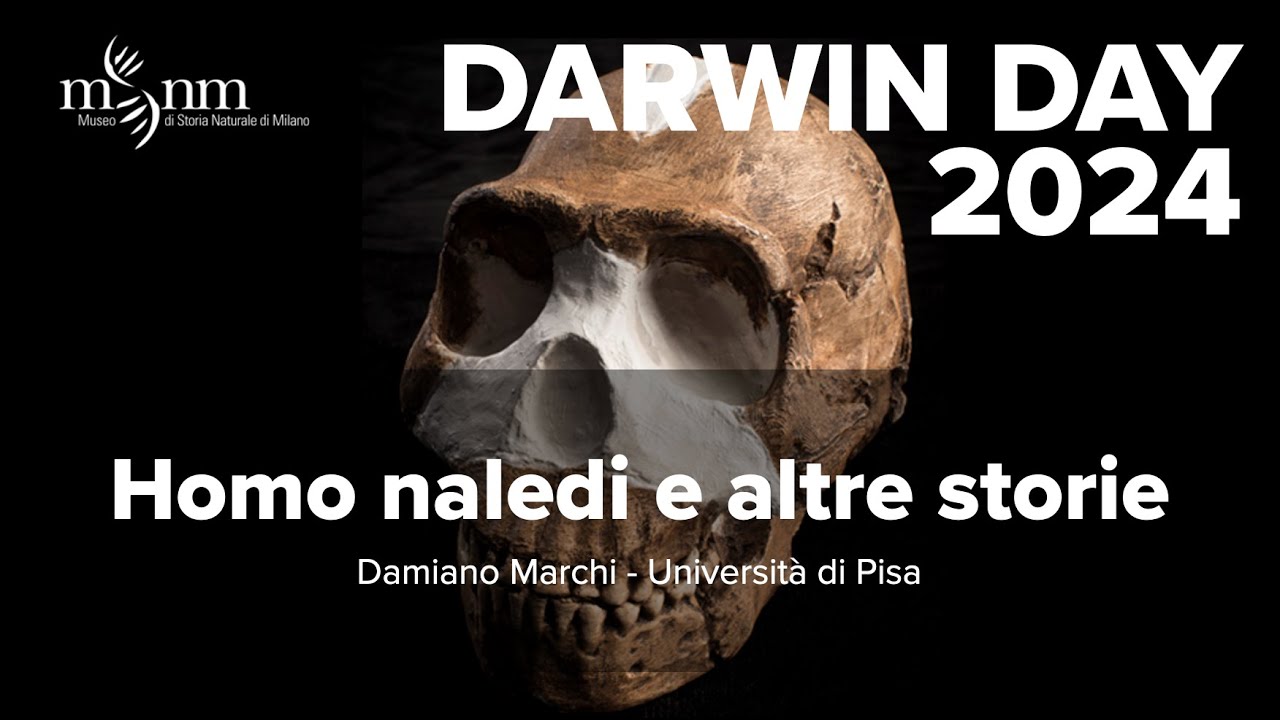 Homo naledi e altre storie