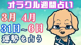 【週間占い】31日～4月6日の運勢を占います！/ オラクルカード第93回【Vtuber/星戌セン/#vtuber #オラクルカード #占い】