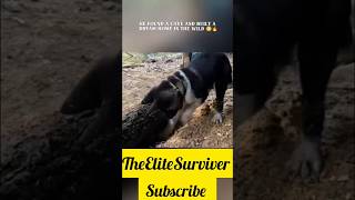 Man Builds Amazing Cave Shelter in Wilderness | Jungle Survival House Build #jangal