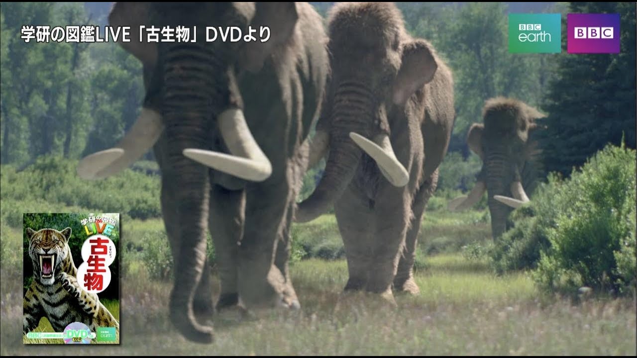 学研の図鑑LIVE「古生物」 付属DVDの中身 - YouTube