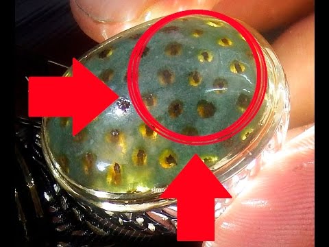 Thumbnail for Inilah Batu Akik Termahal di Dunia yang Menghebohkan Dunia Maya
