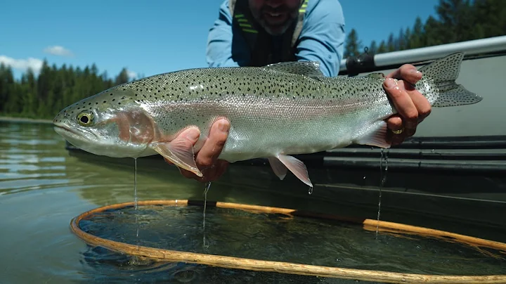 Fishing BC Presents: River and Lake Fishing in Golden, British Columbia