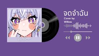 Download Lagu UMI - Remember Me (Thai ver) I Cover by Willow MP3