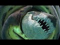 Největší had v dějinách Země | Titanoboa: Monstrum, které musíte znát |