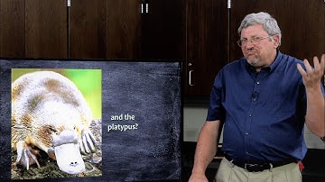 How is Life Organized in Nested Hierarchies? - Dr. Kurt Wise, Devotional Biology