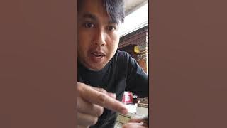 Pasang ring anakan Blackthroat umur 9 hari di Radia Bird Farm Legian