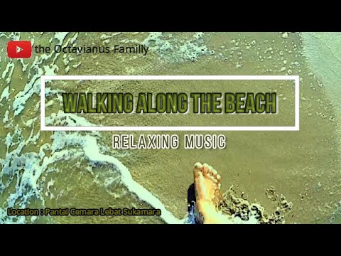 Video: Along The Beach