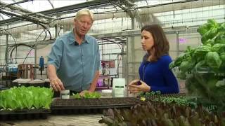 25520 economics agriculture 005 001 WNYW The Big Idea׃ Hydroponic and Vertical Farming