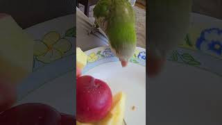 Delirmece