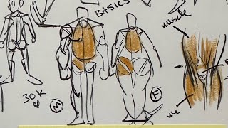 The PeePee method  - Drawing human body basics with funny visuals