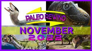 PALEO REWIND November 2022: FOUR NEW SPECIES!