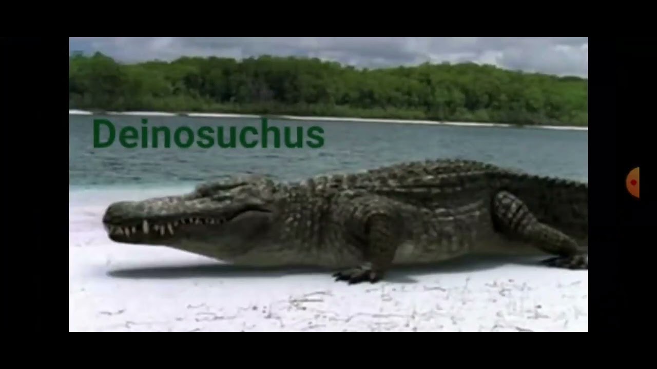 Every prehistoric creature from Prehistoric Park